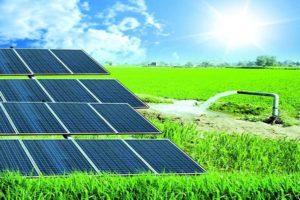 solar-800-533