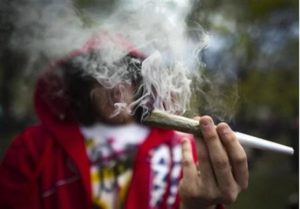 ganja-a