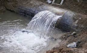 pani