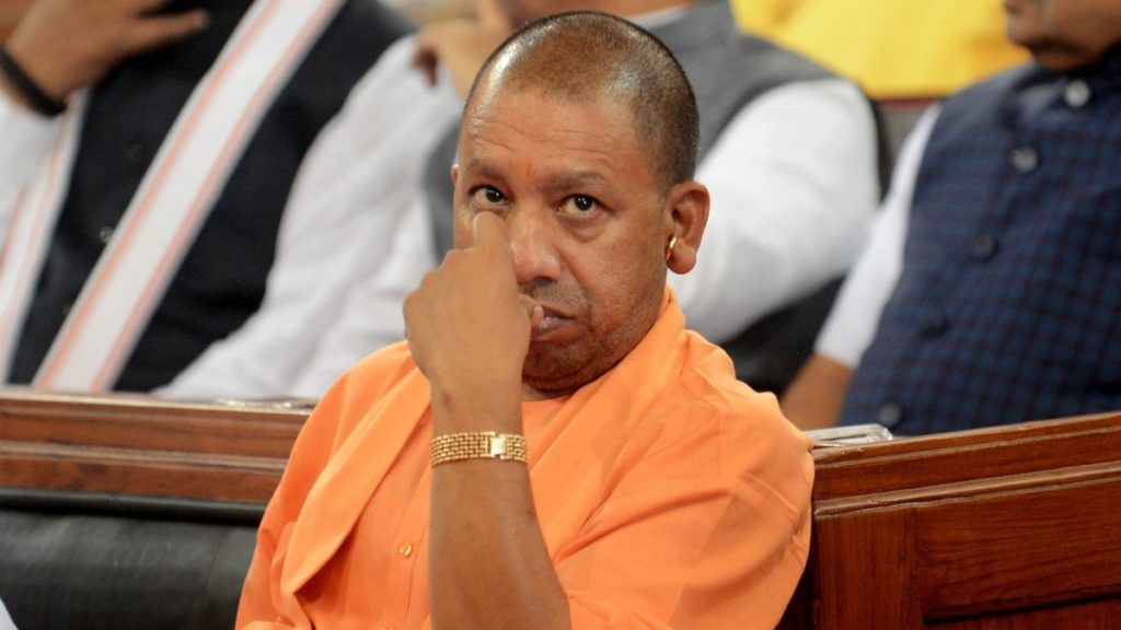 yogi-1-1