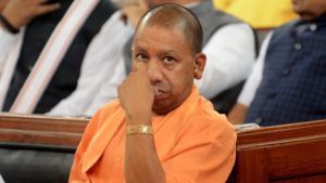 yogi-1-1