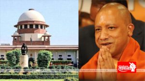 yogi-court
