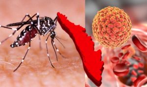 Kerala-Zika-virus-09072021