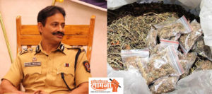 ganja