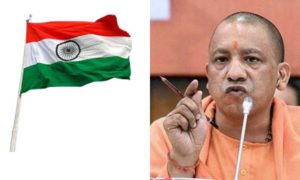 yogi