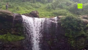 tamhini