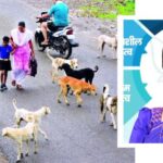 PCMC: महिला, मुले, ज्येष्ठ नागरिकांमध्ये भीती प्रशासनाने मोकाट कुत्र्यांचा तातडीने बंदोबस्त करावा-  नगरसेविका शितल वर्णेकर